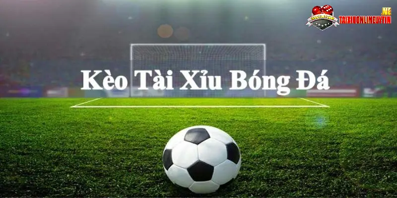 Người chơi thường xuyên theo dõi biến động tỷ lệ kèo